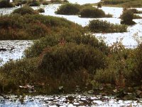 photos 2000-200901730